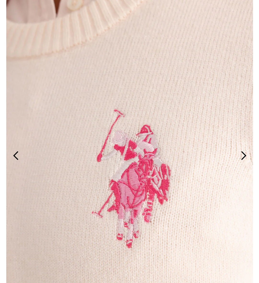 Us polo.assn sweater